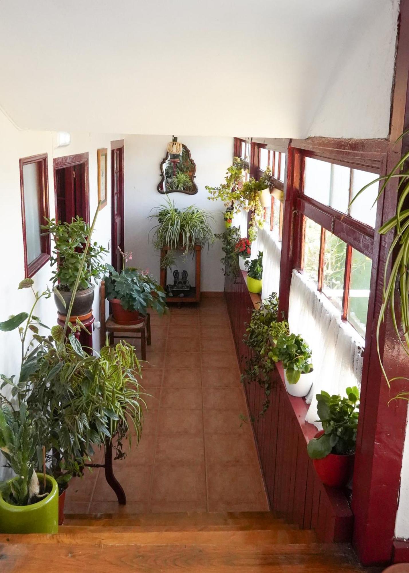 מלון La Casona De Faedo Pension מראה חיצוני תמונה