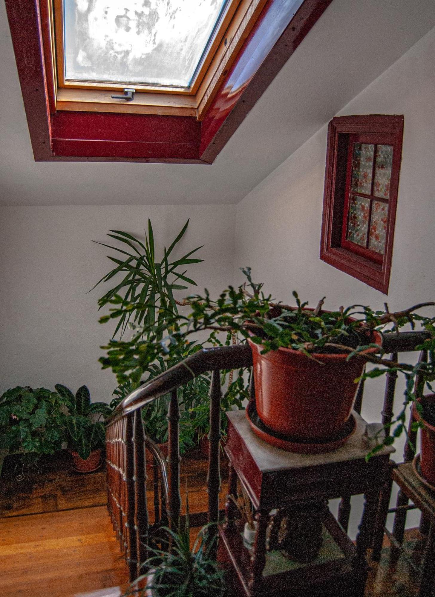 מלון La Casona De Faedo Pension מראה חיצוני תמונה